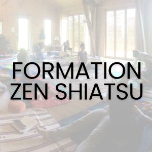 formation zen shiatsu